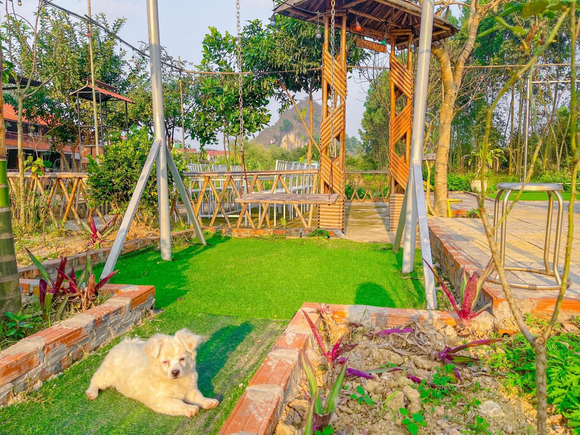 Trang An Quynh Trang Happy Homestay & Garden Ніньбінь Екстер'єр фото