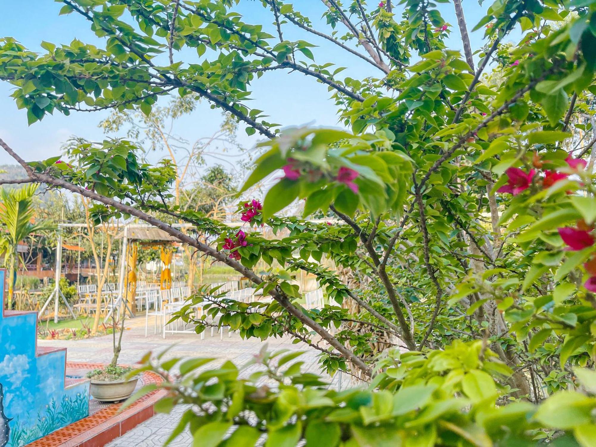 Trang An Quynh Trang Happy Homestay & Garden Ніньбінь Екстер'єр фото