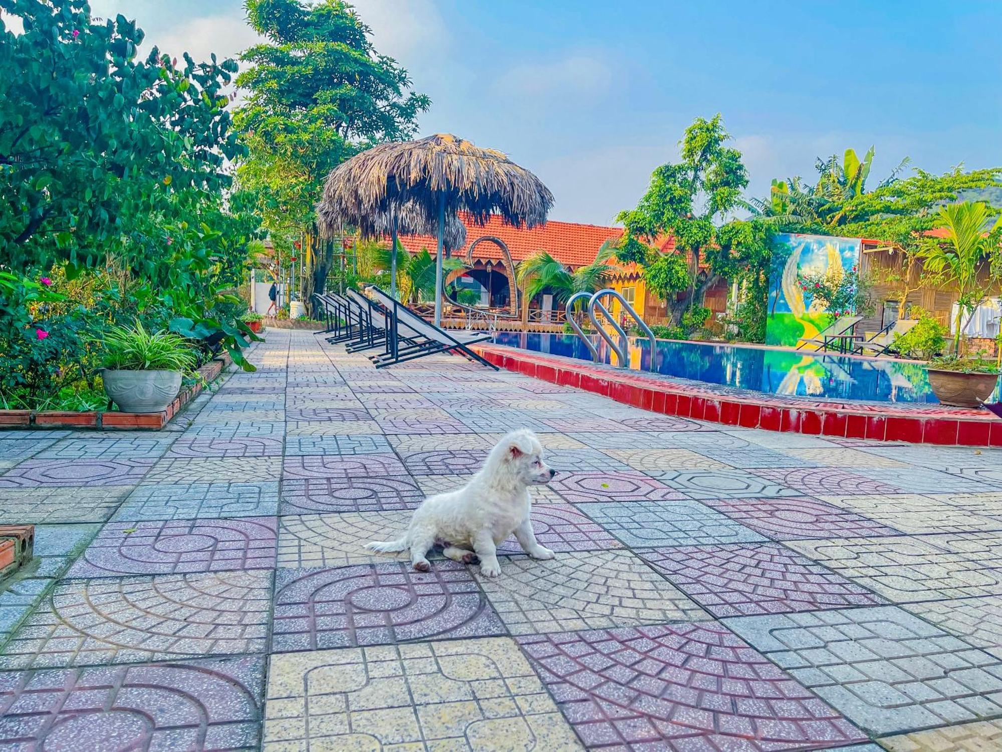 Trang An Quynh Trang Happy Homestay & Garden Ніньбінь Екстер'єр фото